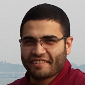 Mohamed Nashaat-Freelancer in Cairo,Egypt