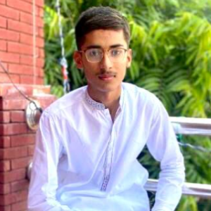 Sameer Muzaffar-Freelancer in Multan,Pakistan