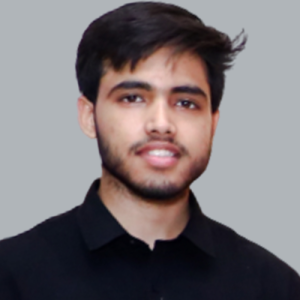 Litesh Chauhan-Freelancer in Meerut,India
