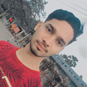 Vikash Kumar-Freelancer in Patna,India