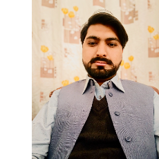 Hamza Haroon-Freelancer in Sarai Saleh,Pakistan