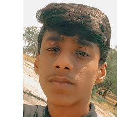 Mohammed Hamdhan-Freelancer in Chennai,India