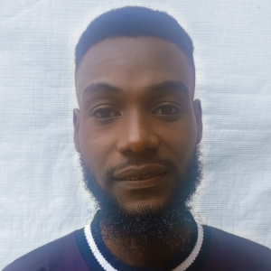 Olaoluwa Olaoye-Freelancer in Lagos,Nigeria