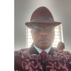 Gideon-Freelancer in Portharcourt,Nigeria