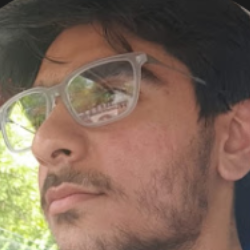 Prakhar Nagpal-Freelancer in ghazibad,India