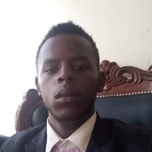 Denilson Mbai-Freelancer in Nairobi,Kenya