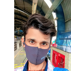 Ayush Dwivedi-Freelancer in New Delhi,India