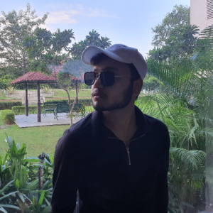 Mridul Thakur-Freelancer in New Delhi,India