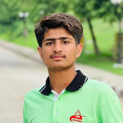 Muhammad Daniyal-Freelancer in Faisalabad - Sargodha Road,Pakistan