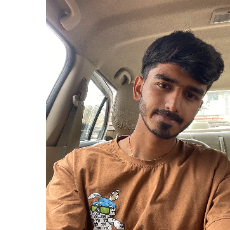 Krishna Carpenter-Freelancer in Manasa,India