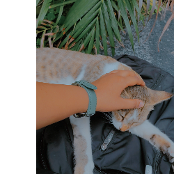 Yashita Gupta-Freelancer in Bhopal,India