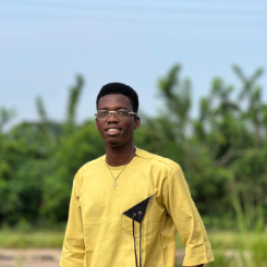 Adeeso Emmanuel-Freelancer in Lagos,Nigeria
