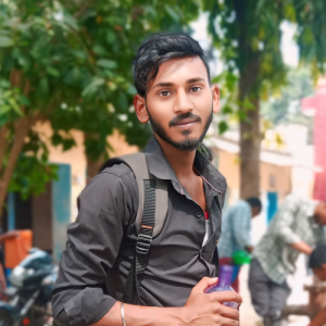 Ashish Kumar-Freelancer in Saharsa,India