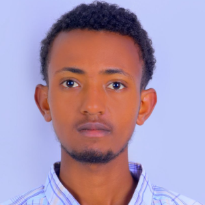 Bereket Dinku-Freelancer in Addis Ababa,Ethiopia