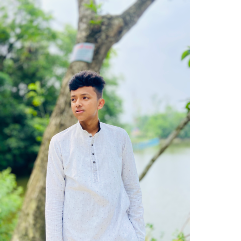 Tamim Iqbal-Freelancer in Chandpur,Bangladesh