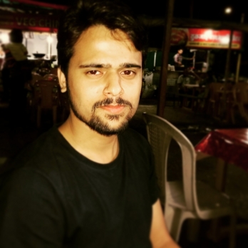 Sarvesh Parakh-Freelancer in Aurangabad,India