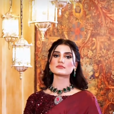 Fizzah Sheikh-Freelancer in Karachi,Pakistan