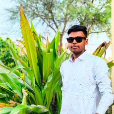 Satish Kumar-Freelancer in Delhi,India