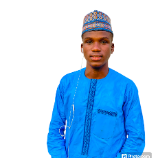 Fahad graphics-Freelancer in Abuja,Nigeria