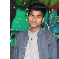 Sukanto Roy-Freelancer in Ulipur,Bangladesh