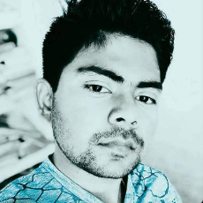 Ratnesh Kumar-Freelancer in Unnao,India