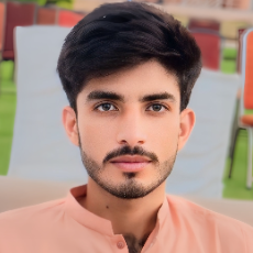 Mubashir Mukhtar-Freelancer in Bahawalpur,Pakistan