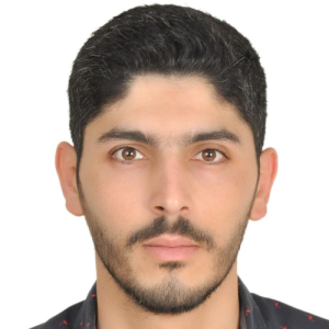 Hasan Safawi-Freelancer in Ansar,Lebanon