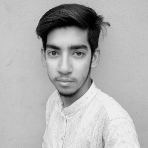 haseeb ahmad-Freelancer in lahore,Pakistan