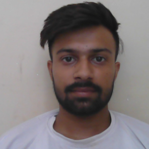 Arshdeep Prajapati-Freelancer in Ludhiana,India