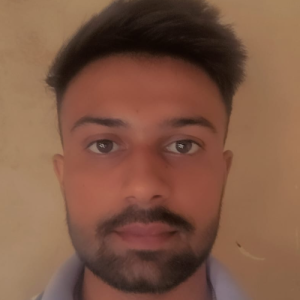 Arshdeep-Freelancer in Ludhiana,India