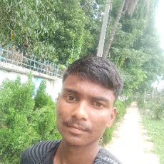 Biswjit Murmu-Freelancer in Kolkata,India