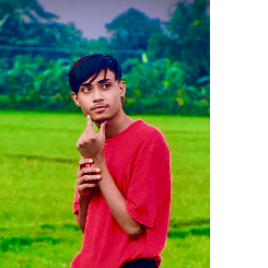 一【jibon】 ツ【خان】-Freelancer in Dhaka,Bangladesh