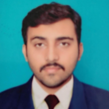 Muhammad Waqar Haider-Freelancer in Faisalabad,Pakistan