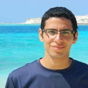 Bassem Effat-Freelancer in Cairo,Egypt
