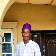 Hamzat Abdulaleem Iseoluwa-Freelancer in Ibadan,Nigeria