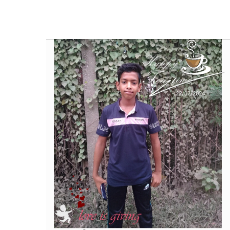 Shafiul Islam-Freelancer in Khulna,Bangladesh