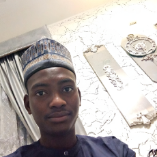 Ibrahim Bello-Freelancer in Kano, NG,Nigeria