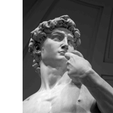 Md Abir Khan-Freelancer in Dhaka,Bangladesh