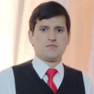 Mir Aamir Rasheed-Freelancer in Islamabad,Pakistan