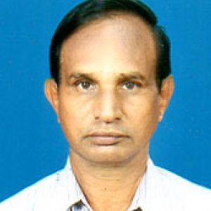 Vijayaraghavan Raghavan-Freelancer in Tiruchirappalli,India