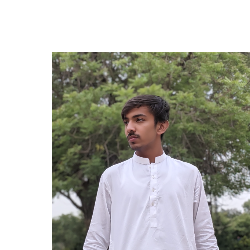 Muhammad Ahsan-Freelancer in Karachi,Pakistan
