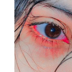 Ariyan Shuvo-Freelancer in Dhaka,Bangladesh