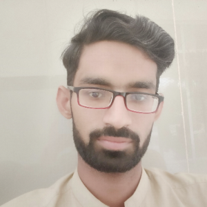 Ali Hassan SEO-Freelancer in sadiqabad,Pakistan