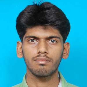 Sakthi Balagan-Freelancer in Bengaluru,India