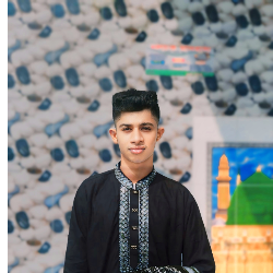 Sk Sakibul Hasan-Freelancer in Daudkandi,Bangladesh