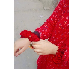 Zarnish Fatima-Freelancer in Multan,Pakistan