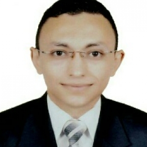Gamal Eldein Fathy-Freelancer in Al Omraneyah Ash Sharqeyah,Egypt