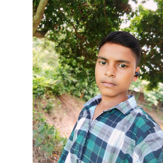 Md Asif Sheikh-Freelancer in Narail,Bangladesh