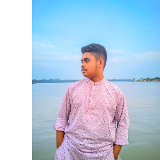 Tamim Mollah-Freelancer in Khulna,Bangladesh