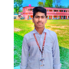 Ansarul Haque-Freelancer in Bholuka,Bangladesh